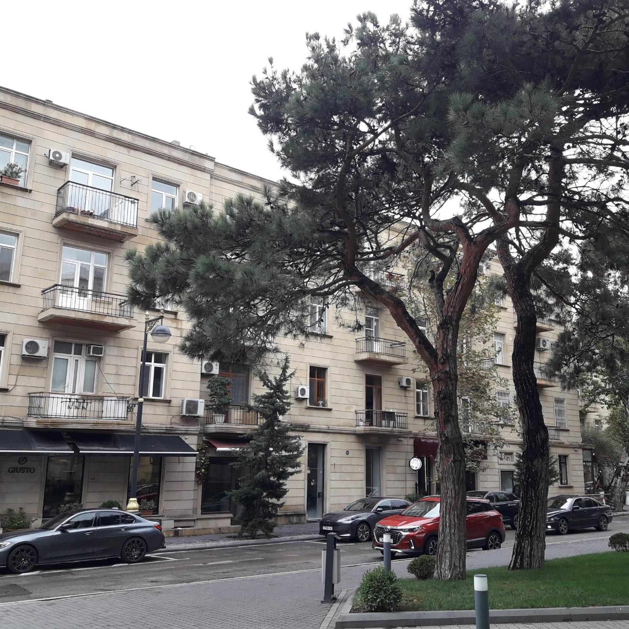 Apartment Niyazi 5 Баку Екстериор снимка